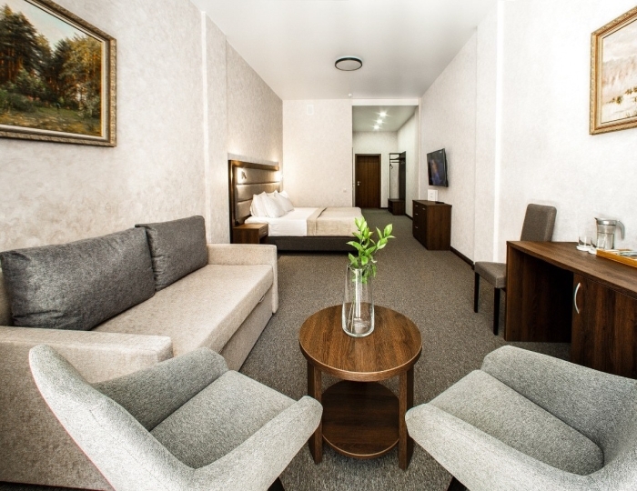 Семейный 2-местный (новый корпус) - Санаторий «Белый камень» Асбест