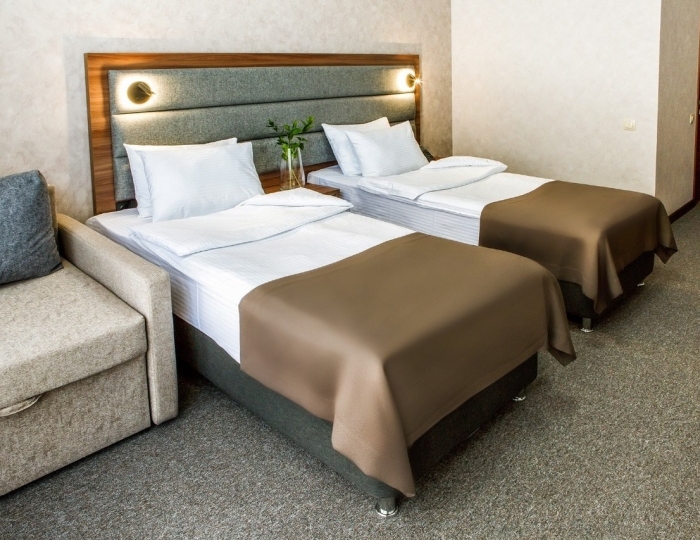 Стандарт 2-местный (новый корпус) - Санаторий «Белый камень» Асбест